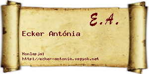 Ecker Antónia névjegykártya